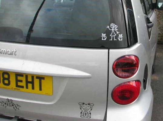 Tara's SMART Car - UNITED KINGDOM.jpg